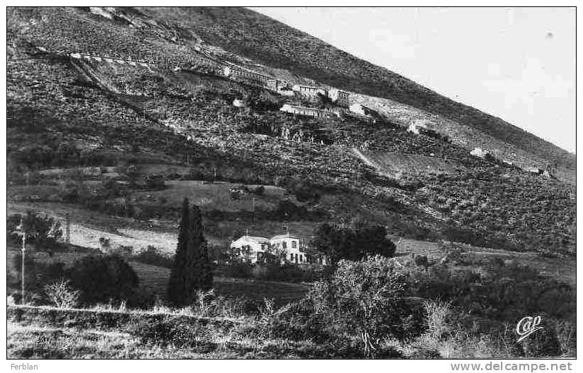 AFRIQUE. ALGERIE. MILIANA. Vue sur Les Mines de Zaccar. Carte Dentelée.