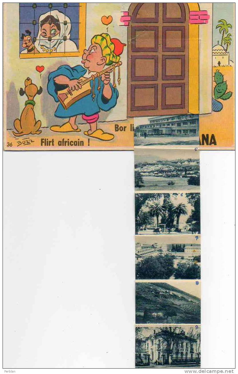 AFRIQUE. ALGERIE. MILIANA. Carte Illustrateur BOZZ. Flirt Africain ! et 10 Vues. Bor li porte ti voir.