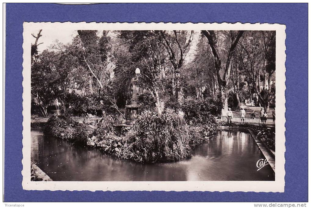 y1089)  MILIANA jardin magenta  ( TTB état)