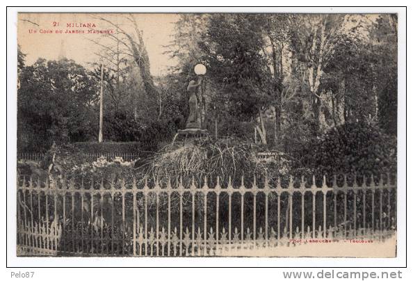 CPA    Miliana Un coin du jardin magenta   B280