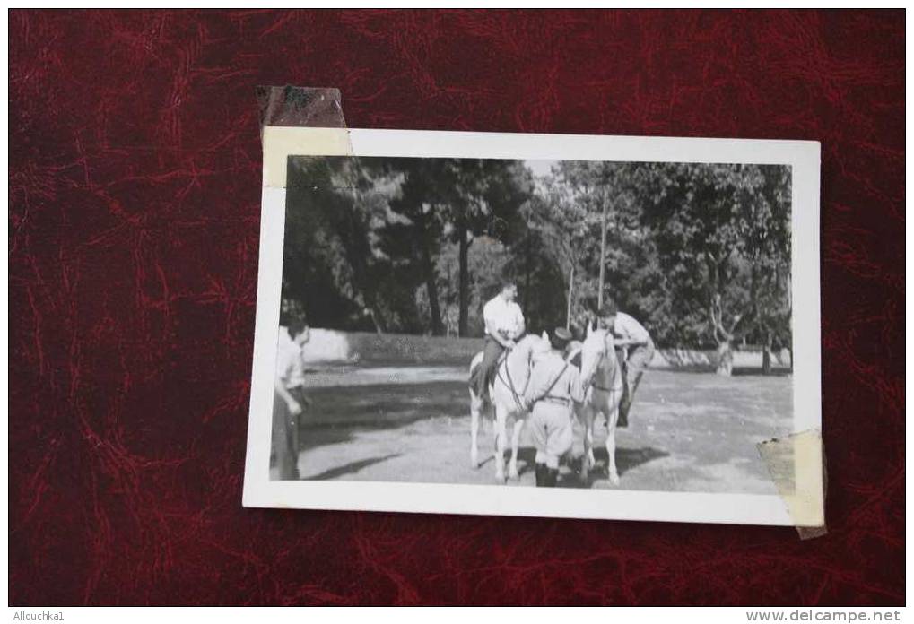MILIANA   11-11-1950 A CHEVAL  & MILITAIRE  ANCIENNE  PHOTOGRAPHIE  EN ALGERIE EX COLONIE  FRANCAISE