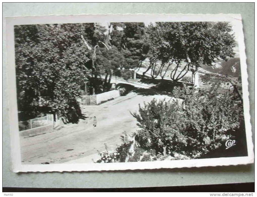 MILIANA ESPLANADE PROMENADE DES BLAGUEURS