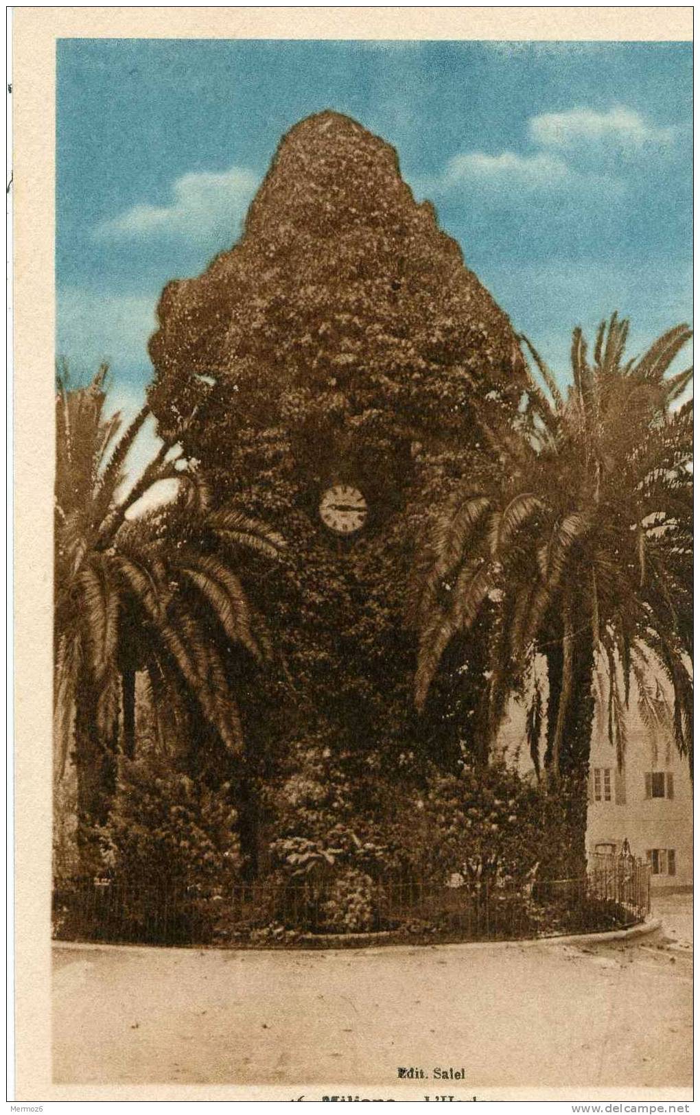 miliana l’horloge 46 edition salel photo albert colorisée