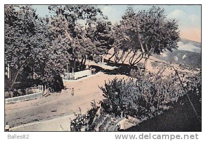 ALGERIE - MILIANA - éd bentabak n°36 - voyagée 1956