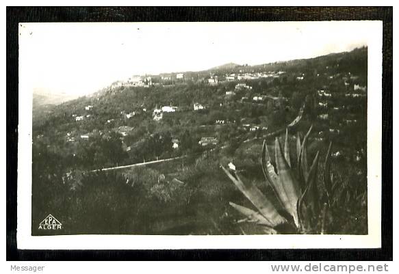 MILIANA - 12  Vue générale - (Beau plan)