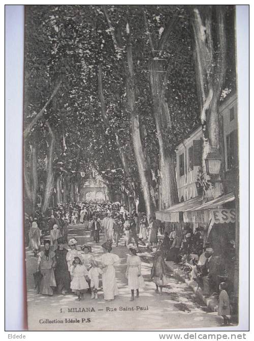 Miliana Rue St Paul tres animée  Fete