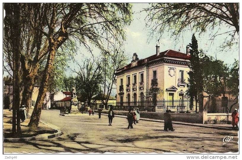 569 - MILIANA - RUE COLBERT ET SOUS-PREFECTURE - CPSM PETIT FORMAT