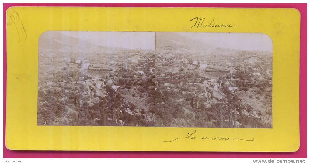 ALGERIE- 018 -  MILIANA - Les Environs