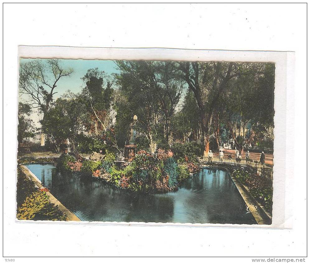 MILIANA_20_Jardin Magenta