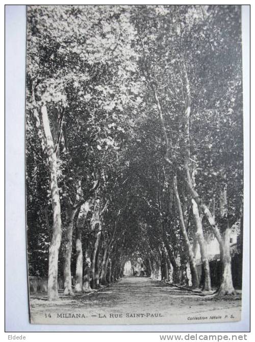 Miliana 14 la rue St Paul