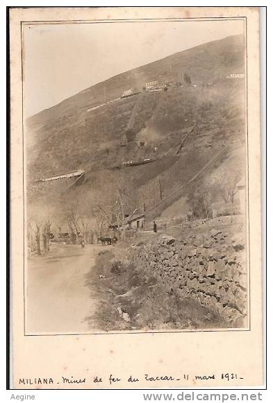ALGERIE- ref no 652- carte photo -miliana -  mines de fer  du zaccar -11 mars 1931- theme mines  - bon etat