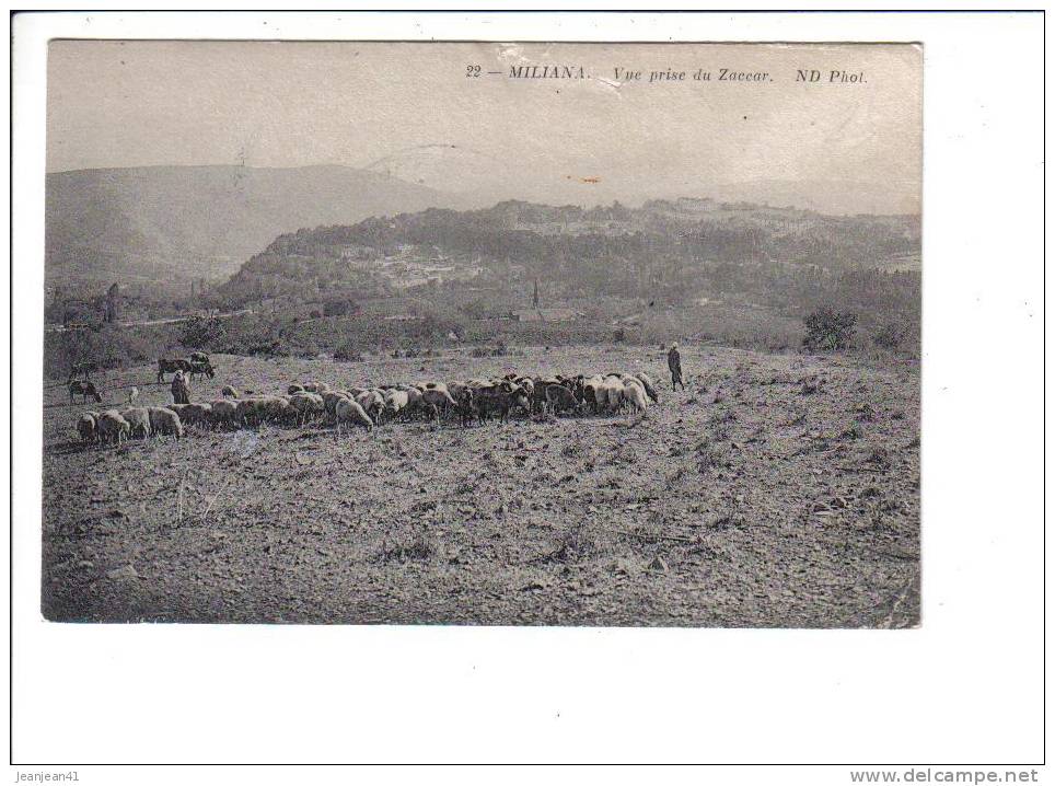 22  -  MILIANA.  -  Vue  prise  du  Zaccar.   ND  phot.