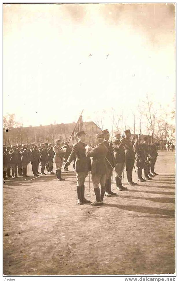 ALGERIE- ref no 368- carte photo militaire -texte verso-souvenir de la journee du 16janvier1936 a miliana  - bon etat