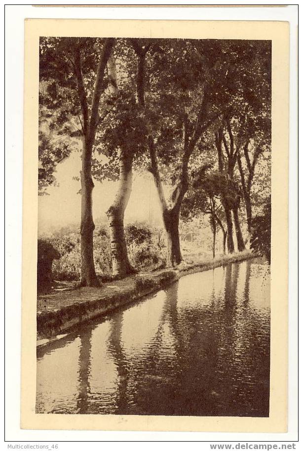 ALGERIE - MILIANA - Les belles sources.