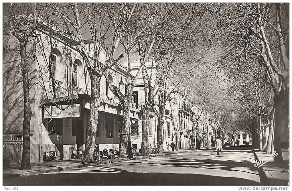 ALGERIE - DJIDJELLI - Le 