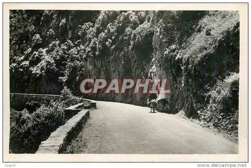 CPA Route de la Corniche entre Bougie et Djidjelli Cap Aokas