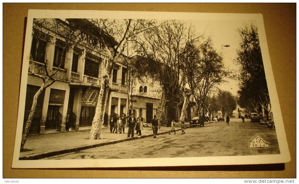 CPA DJIDJELLI (Kabylie) - Les Variétés et Rue Vivone -(animée...)