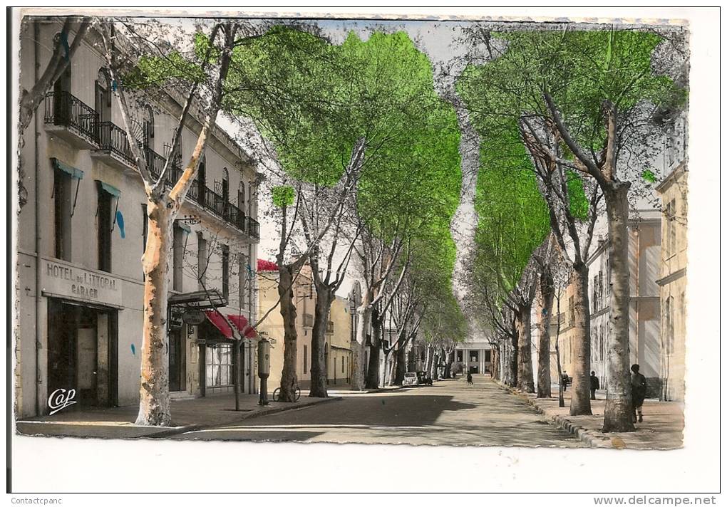 DJIDJELLI   ( Algerie ) -  Avenue  Gadaigne   ( C.P.S.M. , Pt  -   Ft  )