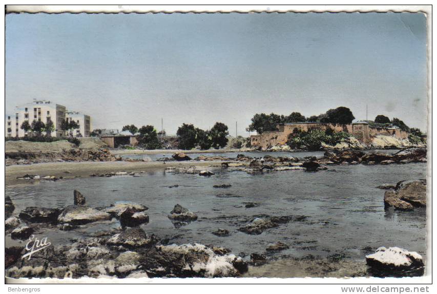 Djidjelli  les H.L.M et les falaises