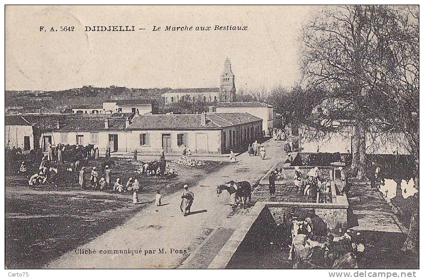 Algérie - Djidjelli - Marché aux Bestiaux