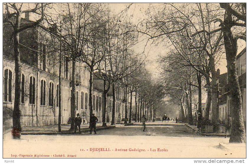 ALGERIE  DJIDJELLI  Avenue Gadaigne - Les Ecoles