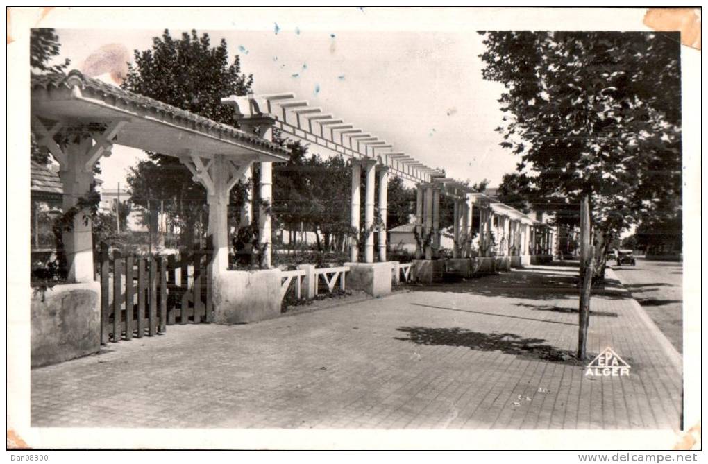 ALGERIE DJIDJELLI LA PERGOLA CPSM