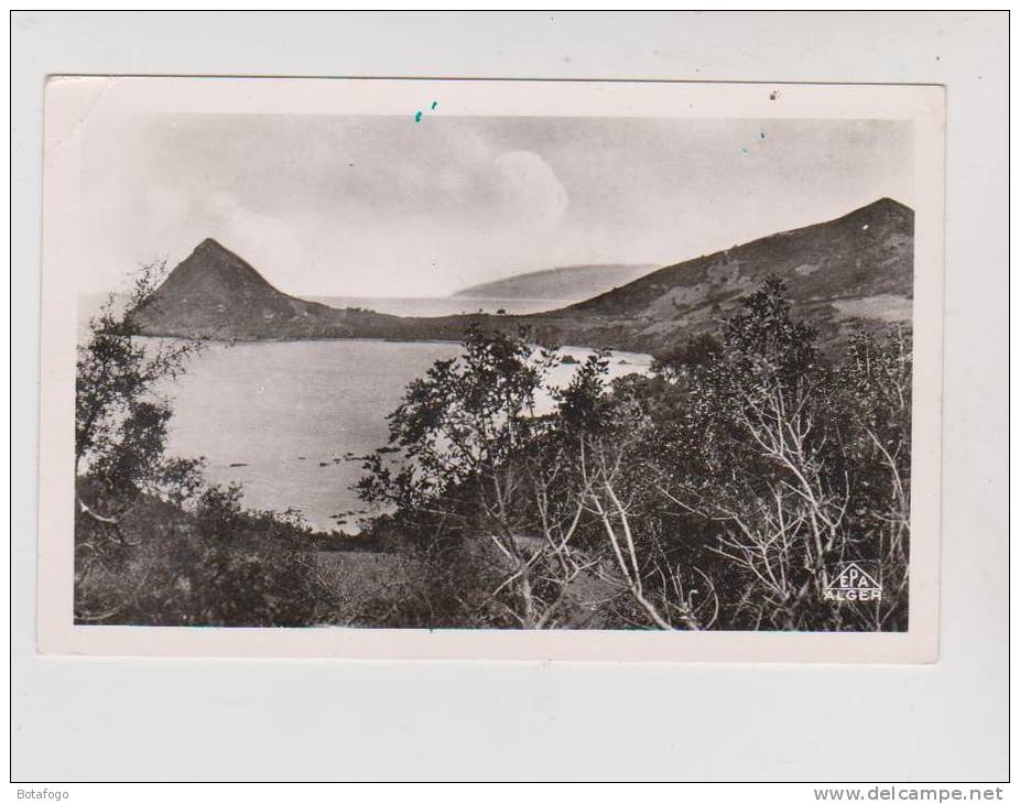 CPM ROUTE DE BOUGIE A DJIDJELLI en 1957 !!