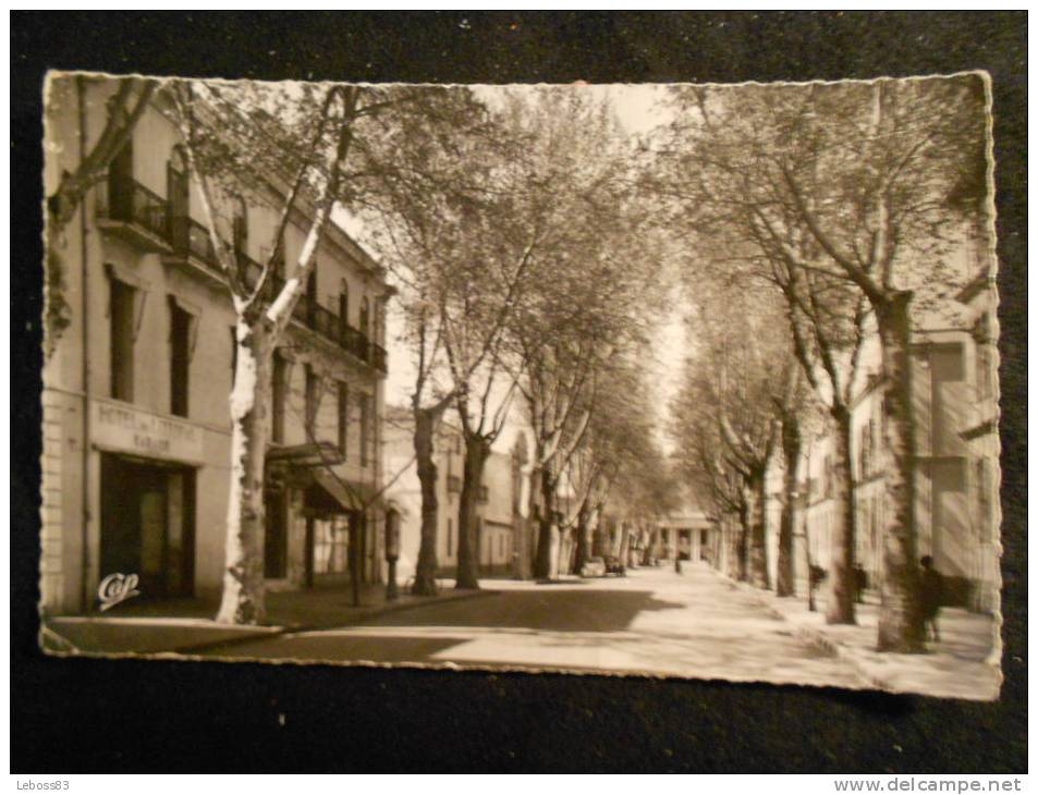 DJIDJELLI -- AVENUE GADAIGNE