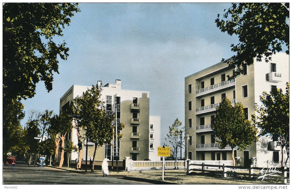 AFRIQUE - ALGERIE - DJIDJELLI - Avenue Gadaigne