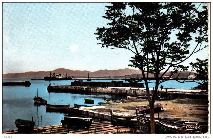 DJIDJELLI JOLIE ECHAPPEE SUR LE PORT