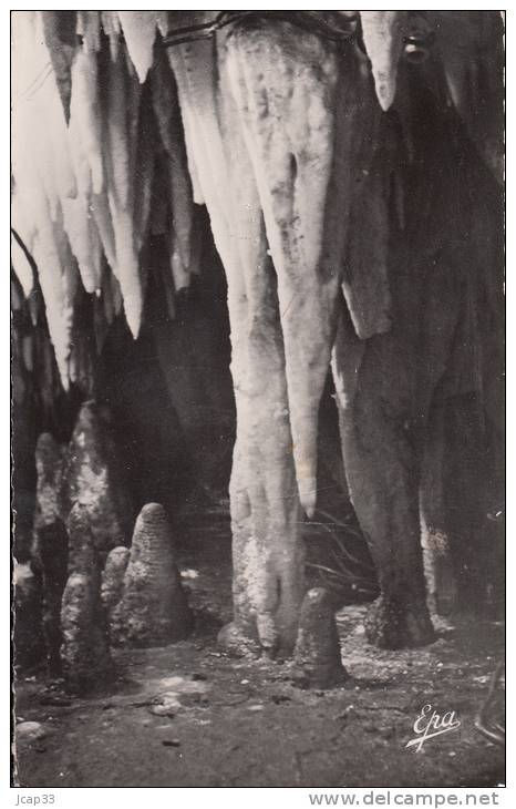 ALGERIE  -  DJIDJELLI  -  Grotte Merveilleuse de Dar-El-Oued  -  L´Eléphant  -