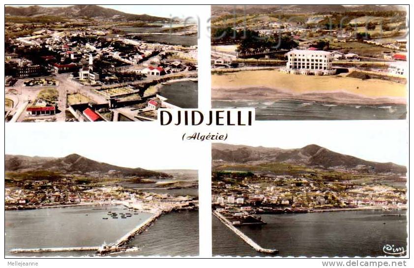cpsm  Algérie - Djidjelli - coll Pignella