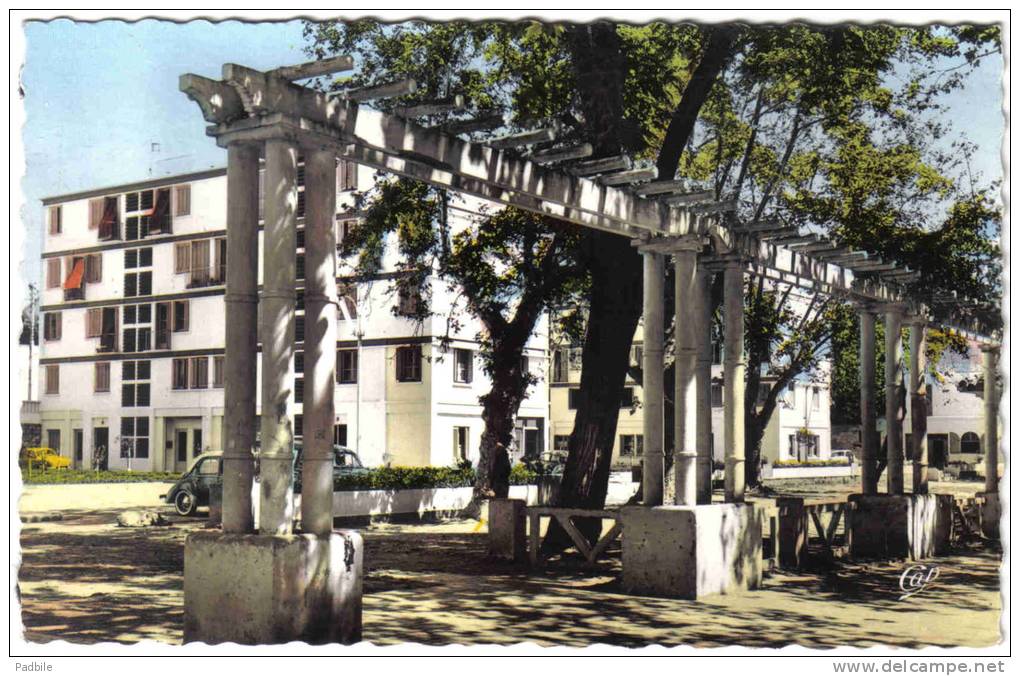 Carte Postale Algérie  Djidjelli  les nouveaux quartiers trés beau plan