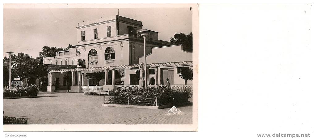 DJIDJELLI ( Algérie ) - La Place  ( C.P.S.M.  , Pt - Ft )