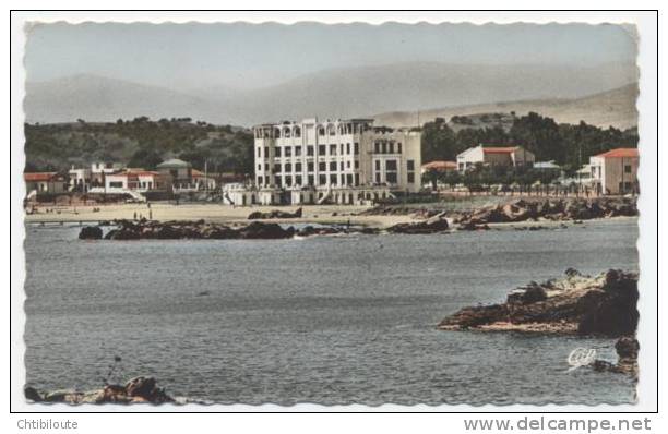 AFRIQUE  /  ALGERIE  /   DJIDJELLI    