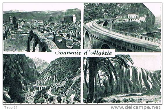 SOUVENIR D´ ALGÉRIE - 4 vues d´ Algérie dép. de Constantine - Djemila - Kerrata - Bougie - Djidjelli