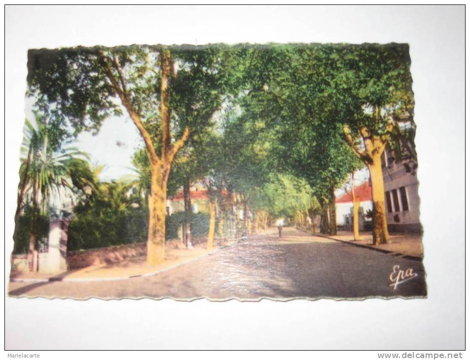 refr6 -   afrique algérie djidjelli la poste et entrée de la commune mixte