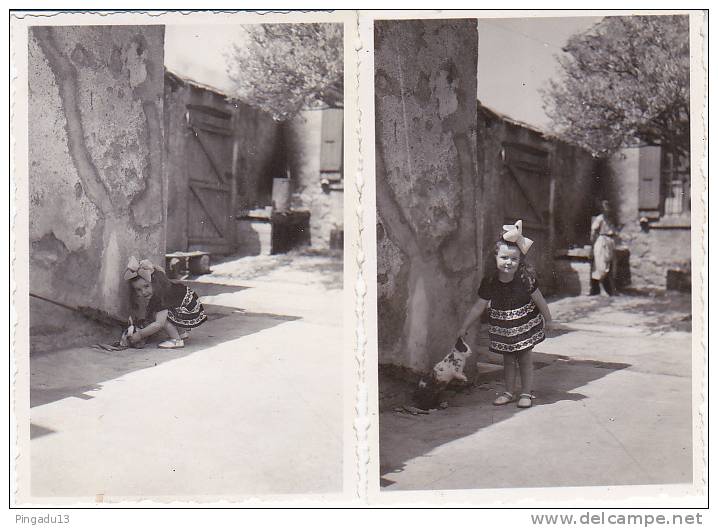 Algérie forêt maison forestière  Avril 47 Bou Mraou Djidjelli Constantine