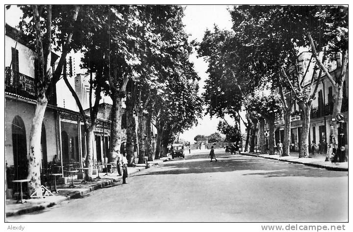 NEW CPSM OU CPM *** RUE VIVONNE A DJIDJELLI *** ALGERIE