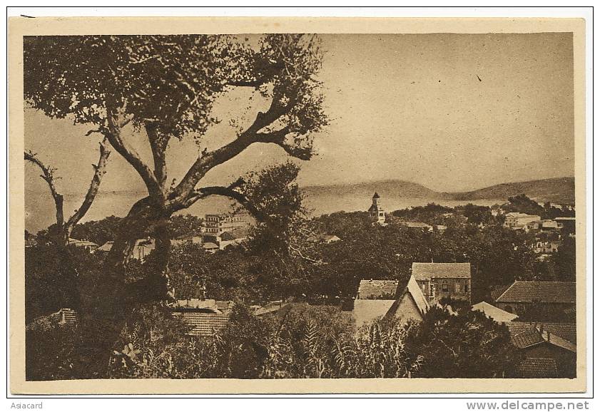 Djidjelli  Panorama Centenaire Algerie Française 1930