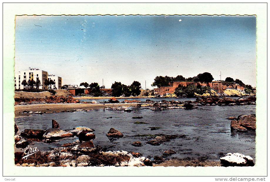 CPSM ALGERIE DJIDJELLI Les H L M et les falaises