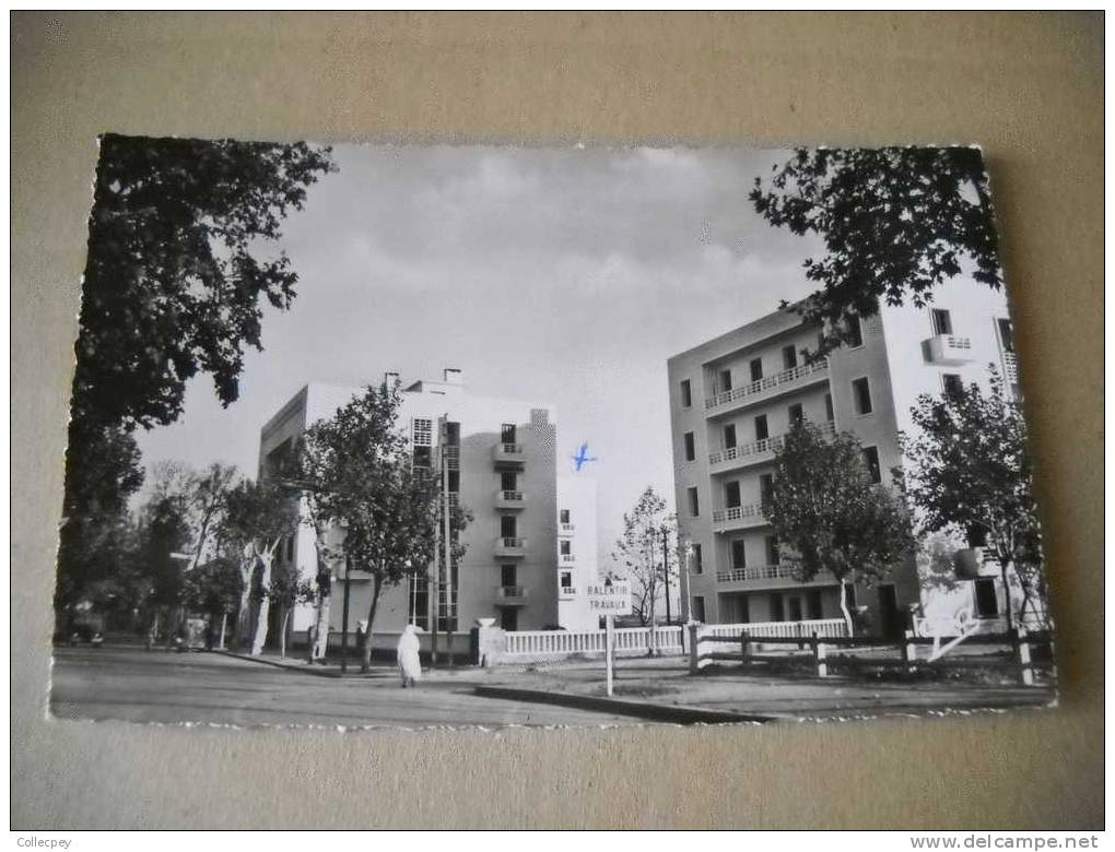 CPSM ALGERIE DJIDJELLI Avenue Gardaigne