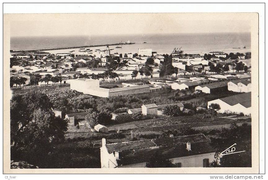 ALGERIE CPSM DJIDJELLI  Vue générale les MAISONS et la MER