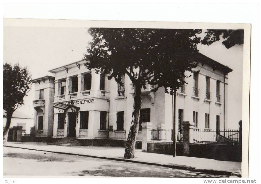 ALGERIE CPSM DJIDJELLI  