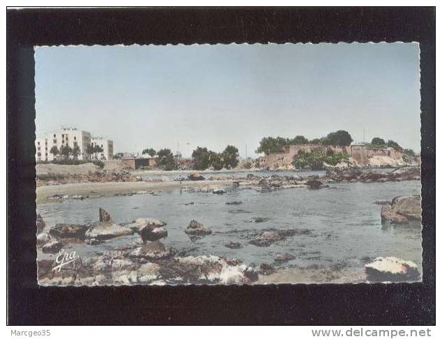 djidjelli les H.L.M. & les falaises édit.photo-affricaines n° 63