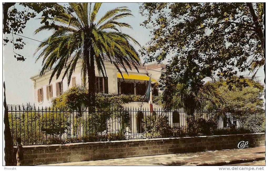 ALGERIE  DJIDJELLi  la sous prefecture ............. Lot N......... 51