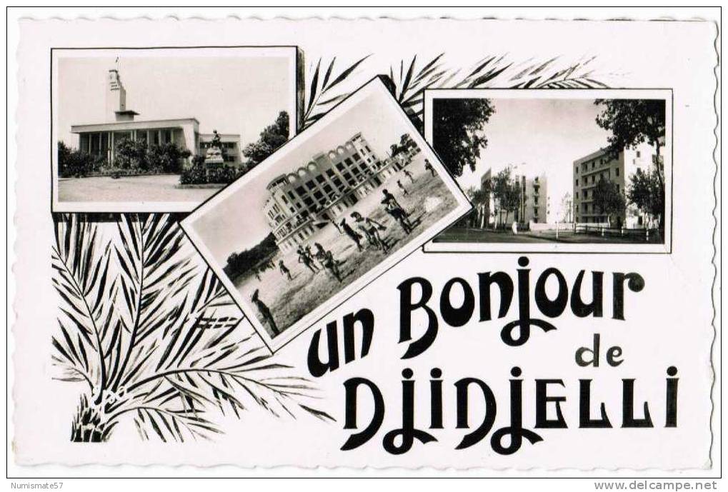 CPSM ALGERIE - DJIDJELLI - Un Bonjour de Djidjelli