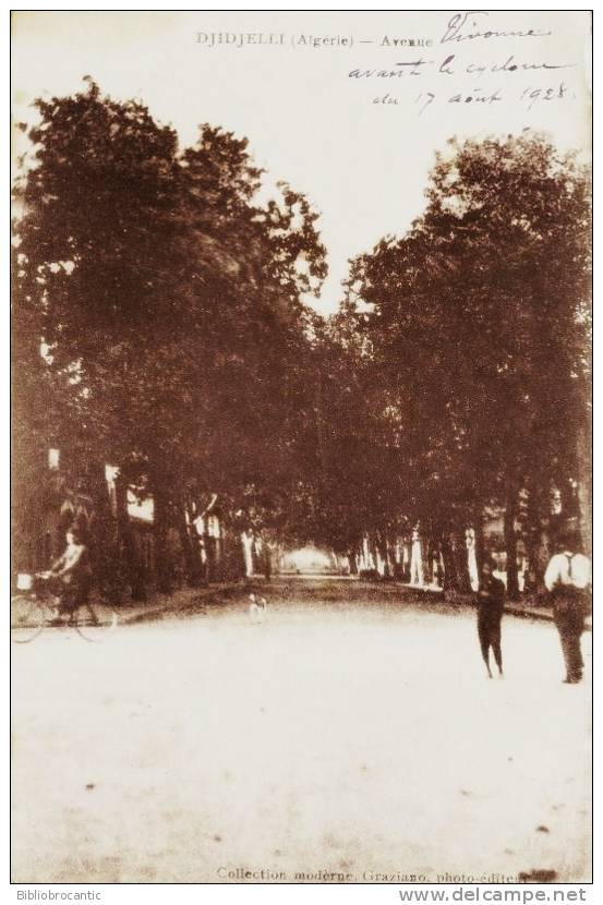 ALGERIE - DJIDJELLI - L´AVENUE (avant le cyclone du 17 aout 1927)