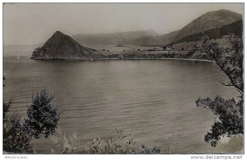 ALGERIE - CPSM photo véritable - LA CORNICHE DE BOUGIE A DJIDJELLI - LA TOUTE AVANT ZIEMA MONSOURIA