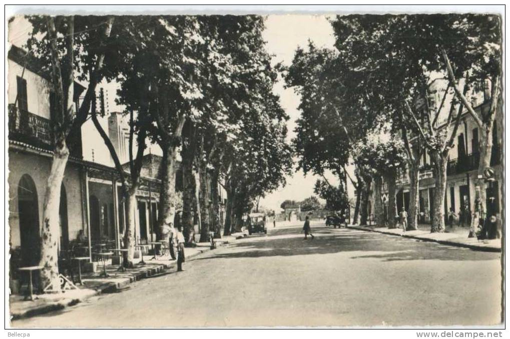 ALGERIE DJIDJELLI Rue Vivonne CPSM Petite animation